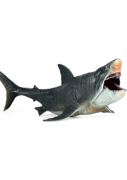 Bai Jiaying Köpekbalığı Aksiyon Figürü Megalodon Modeli Bilişsel Oyuncaklar Gerçekçi Erkekler Ve Kızlar (Yurt Dışından)