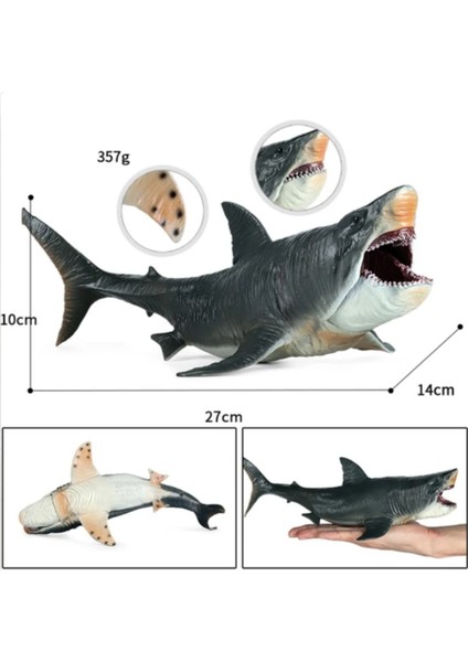 Bai Jiaying Köpekbalığı Aksiyon Figürü Megalodon Modeli Bilişsel Oyuncaklar Gerçekçi Erkekler Ve Kızlar (Yurt Dışından)