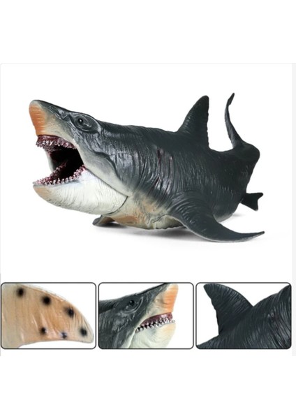 Bai Jiaying Köpekbalığı Aksiyon Figürü Megalodon Modeli Bilişsel Oyuncaklar Gerçekçi Erkekler Ve Kızlar (Yurt Dışından)