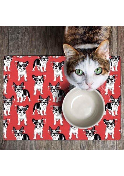 Mama ve Su Evcil Hayvan Beslenme Matı, Kolay Temizlenen Emici Su Geçirmez Kumaş, Küçük Orta Boy ve Büyük Kedi ve Köpekler Için Dayanıklı Köpek Kedi Paspas (50X35, Kırmızı) indirimleri