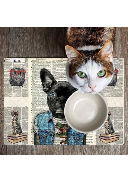 Mama ve Su Evcil Hayvan Beslenme Matı, Kolay Temizlenen Emici Su Geçirmez Kumaş, Küçük Orta Boy ve Büyük Kedi ve Köpekler Için Dayanıklı Köpek Kedi Paspas (40X60, Bulldog) indirimleri