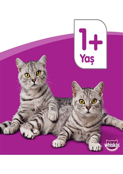 Dreamies Ördekli Kedi Ödülü 60 gr 6AD fiyatları