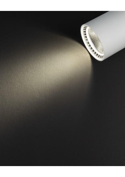 30W Paris Beyaz Kasa Ray Spot 4000K YL29-3007 modelleri