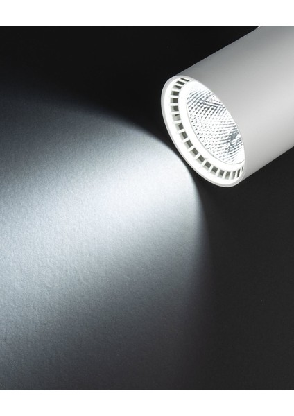 30W Paris Beyaz Kasa Ray Spot Beyaz Işık YL29-3001 modelleri