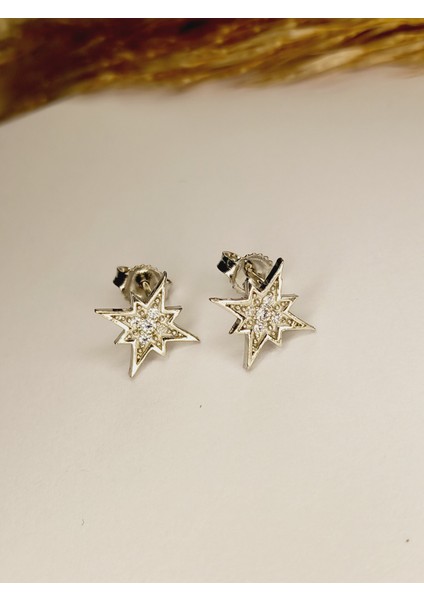 925 Ayar Gümüş Zirkon Taşlı Kutup Yıldızı Çivili Trend Kadın Küpe Yılbaşı Yeni Yıl Hediye fiyatları