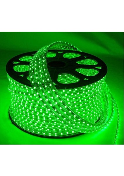 220 Volt Dış Mekan Hortum LED Yeşil Işık YL41-4005 - 1 Metre