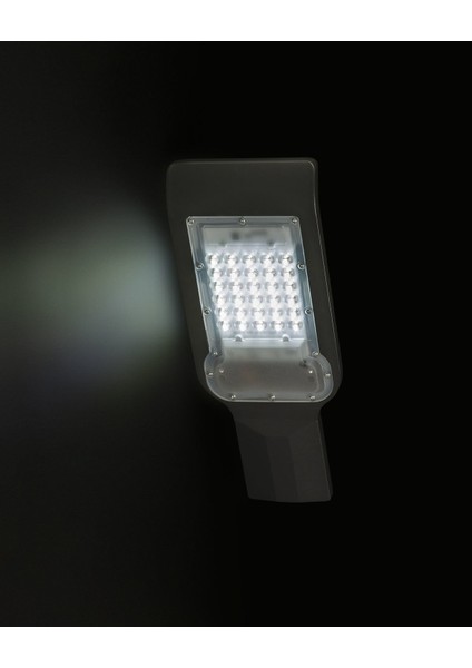 30W Elektrikli LED Sokak Armatürü Beyaz Işık YL73-0030