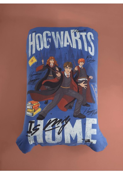 Wb Harry Potter Tek Kişilik Pike