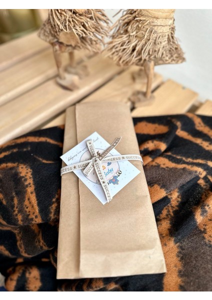 Teyzem Beni Çok Seviyor Yazılı Hediye Paketli Body ve Zıbın modelleri