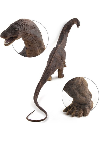 Ruyı Dinozor Hayvan Dünyası Modeli Çoklu Simülasyon Tyrannosaurus Rex Oyuncakları (Yurt Dışından)