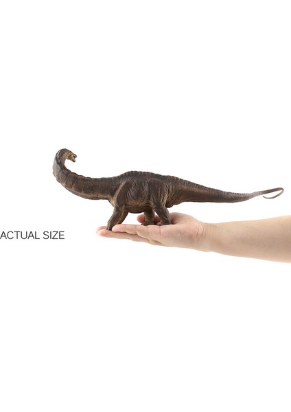 Ruyı Dinozor Hayvan Dünyası Modeli Çoklu Simülasyon Tyrannosaurus Rex Oyuncakları (Yurt Dışından)