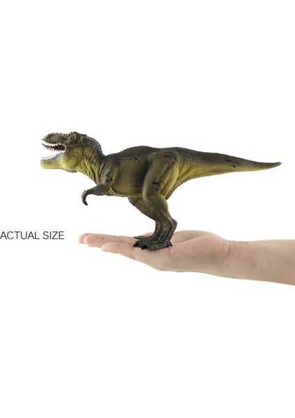 Ruyı Dinozor Hayvan Dünyası Modeli Çoklu Simülasyon Tyrannosaurus Rex Oyuncakları (Yurt Dışından)