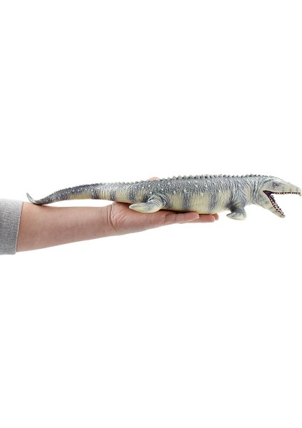Ruyı Dinozor Hayvan Dünyası Modeli Çoklu Simülasyon Tyrannosaurus Rex Oyuncakları (Yurt Dışından)
