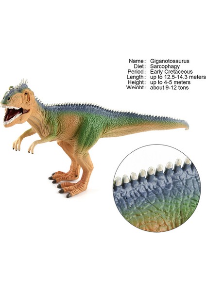 Ruyı Dinozor Hayvan Dünyası Modeli Çoklu Simülasyon Tyrannosaurus Rex Oyuncakları (Yurt Dışından)
