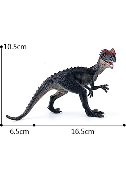 Ruyı Dinozor Hayvan Dünyası Modeli Çoklu Simülasyon Tyrannosaurus Rex Oyuncakları (Yurt Dışından)