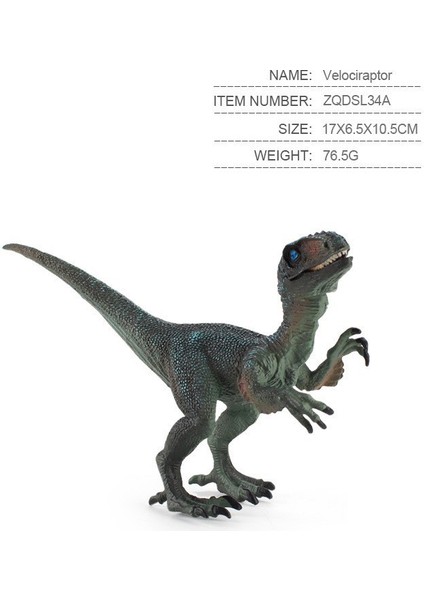 Ruyı Dinozor Hayvan Dünyası Modeli Çoklu Simülasyon Tyrannosaurus Rex Oyuncakları (Yurt Dışından)