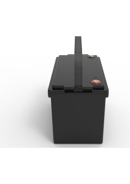 Lifepo4 12V 100AH Akü