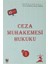 Ceza Muhakemesi Hukuku Cilt 1 - Hakan Hakeri 1