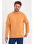3 Iplik Şardonlu Bisiklet Yaka Sweatshirt RD24KE054903 3