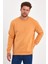 3 Iplik Şardonlu Bisiklet Yaka Sweatshirt RD24KE054903 4