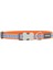 Reddingo Fang It Desenli Turuncu Köpek Boyun Tasması L 25MM / 41-63 cm 1