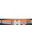 Reddingo Fang It Desenli Turuncu Köpek Boyun Tasması L 25MM / 41-63 cm 2
