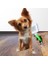 Buffer Kedi Köpek Telli Küçük Boy Tüy Bakım Seti Evcil Hayvan Tarama Fırçası 5