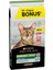 Sterilised Somon Ton Kısırlaştırılmış Kedi Maması 10+2 kg 1