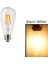 CT-4353 Rustik LED Ampul Günışığı Renk 2