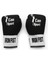 Can Sport Boks Eldiveni Iron Fist IRON 1