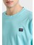 Bisiklet Yaka Pamuk Regular Fit T Shirt Erkek 23411052 291 4