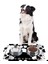 Mama ve Su Evcil Hayvan Beslenme Matı, Kolay Temizlenen Emici Su Geçirmez Kumaş, Küçük Orta Boy ve Büyük Kedi ve Köpekler Için Dayanıklı Köpek Kedi Paspas (50X35, Black And White) 5