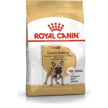 Royal Canin French Bulldog Yetişkin Köpek Maması - 3 kg