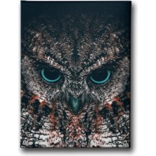 Desenlio Baykuş Kanvas Tablo