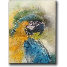 Desenlio Cennet Papağanı Kanvas Tablo