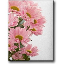 Desenlio Pembe Papatyalı Tablo