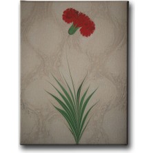 Desenlio Ebru Karanfil Tablo