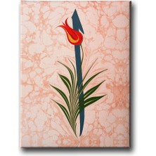 Desenlio Elif Ebrulu Tablo