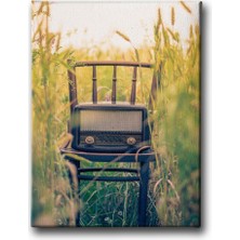 Desenlio Nostalji Radyo  Canvas Tablo