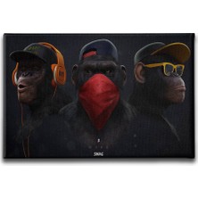 Desenlio Maymunlu  Kanvas Tablo