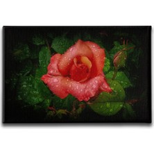 Desenlio Gül Kanvas Tablo