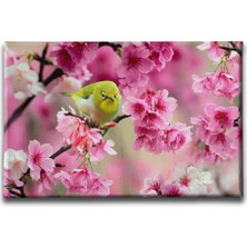 Desenlio Ilkbahar Çiçeği Tablo