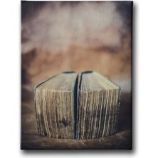 Desenlio Kitap  Canvas Tablo