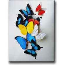 Desenlio Kelebekler Kanvas Tablo