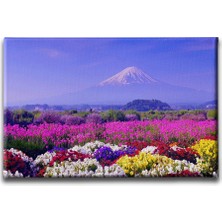 Desenlio Çiçek Bahçesi Manzara Tablo