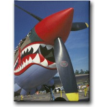 Desenlio Köpekbalıklı Helikopter Canvas Tablo