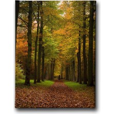 Desenlio Sonbahar  Tablo