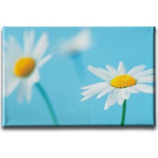 Desenlio Gelin Buketi Tablo