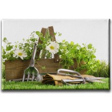 Desenlio Papatya Kanvas Tablo