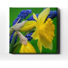 Desenlio Nergis Çiçeği Tablo